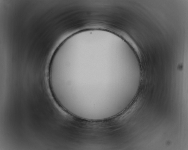 X0000103900951200809191052