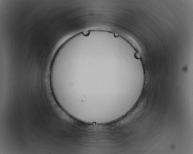 X0000103900952200809191052