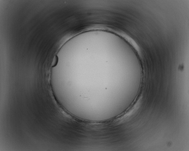 X0000103900953200809191052