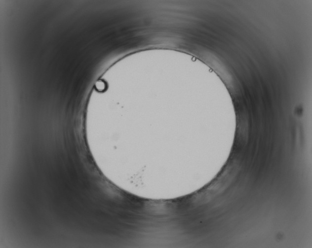 X0000103900956200809191052