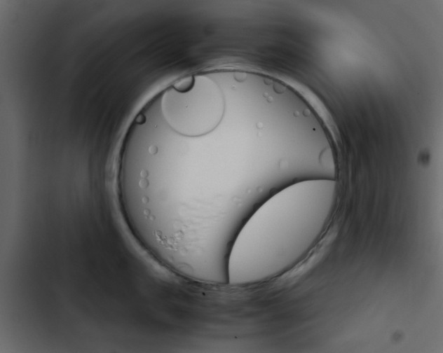 X0000103900957200809191052