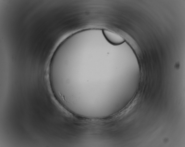 X0000103900958200809191052