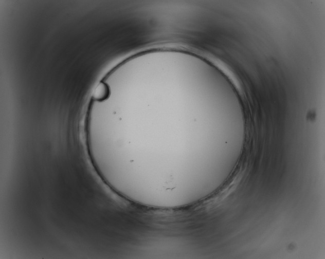X0000103900959200809191052