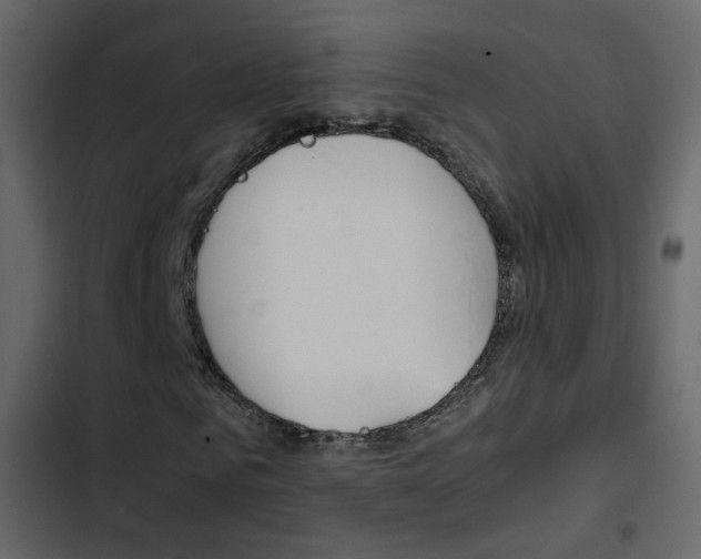 X0000103900961200809191051
