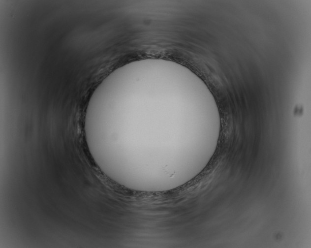 X0000103900962200809191051