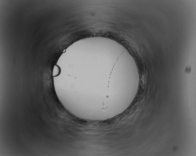 X0000103900963200809191051
