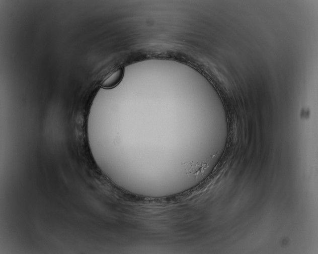 X0000103900964200809191051