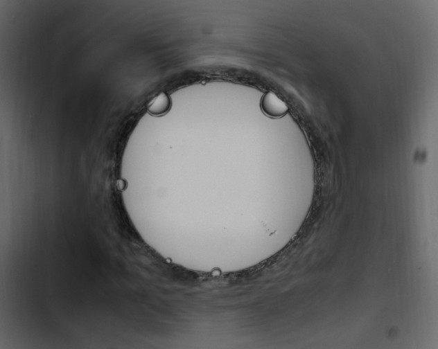 X0000103900965200809191051