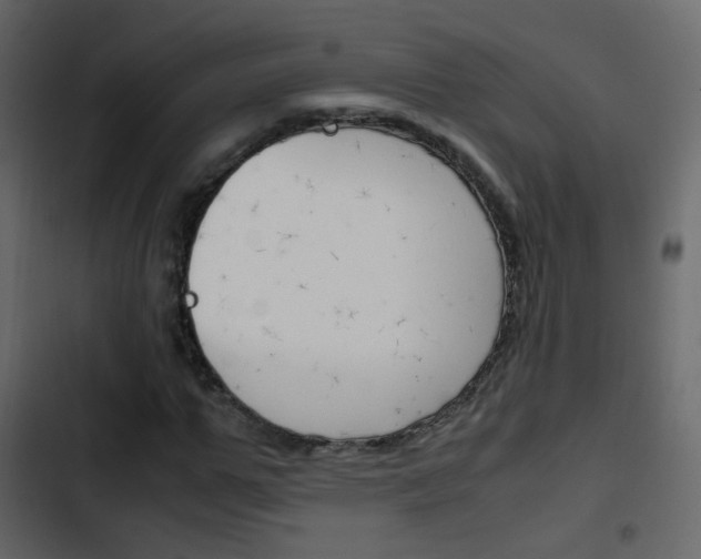 X0000103900967200809191051