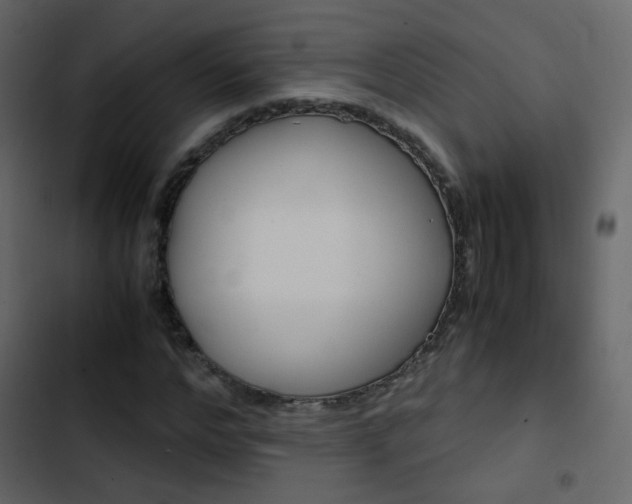 X0000103900968200809191051