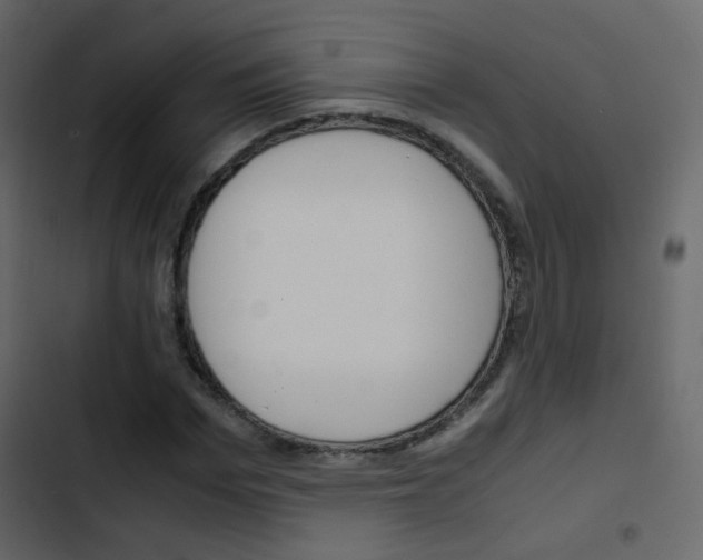 X0000103900969200809191051