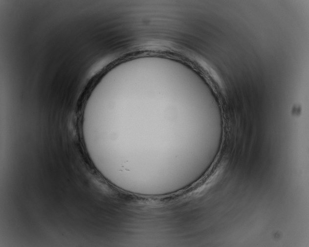 X0000103900970200809191051