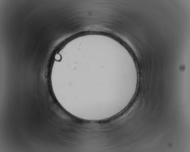 X0000103900971200809191051
