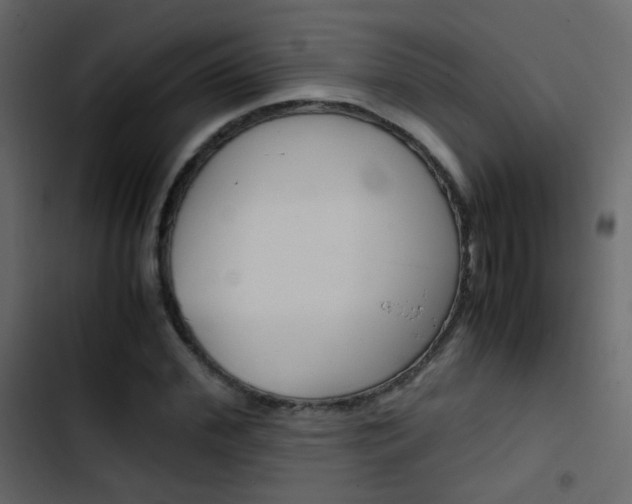 X0000103900972200809191051