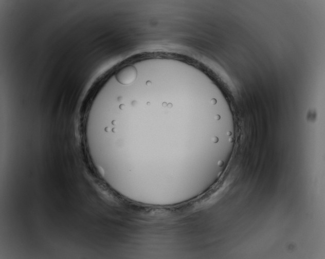 X0000103900974200809191051
