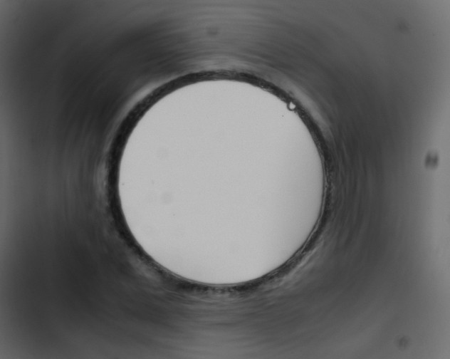X0000103900975200809191051