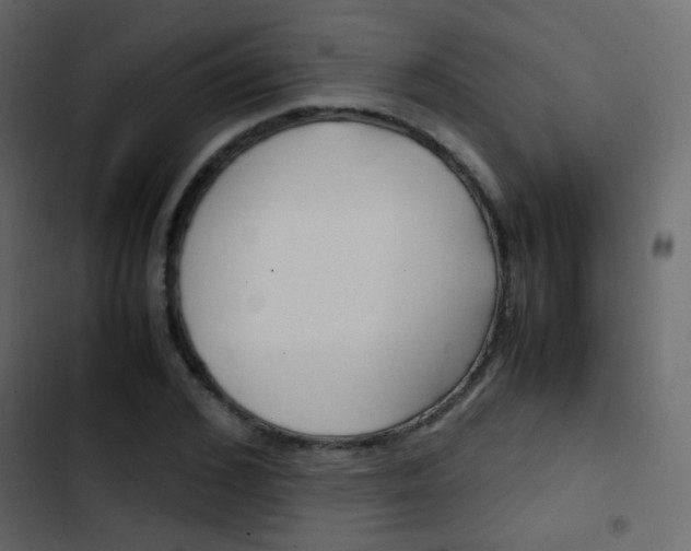 X0000103900976200809191051