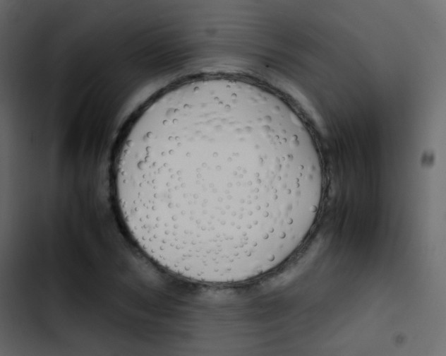 X0000103900978200809191051