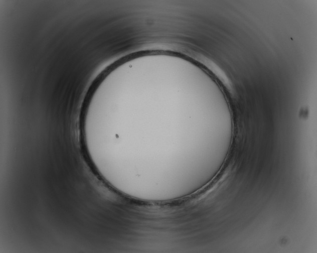 X0000103900980200809191051