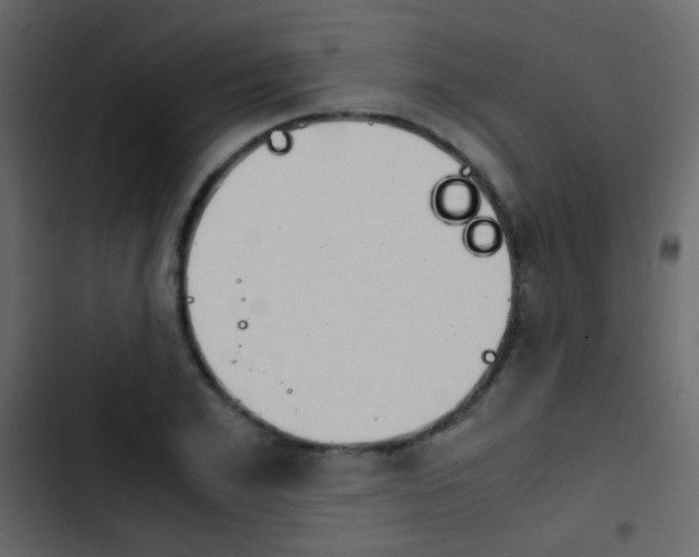 X0000103900981200809191051
