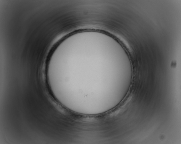 X0000103900982200809191051