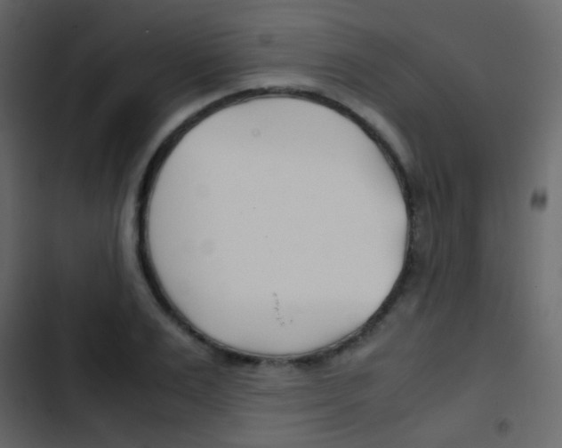 X0000103900983200809191051
