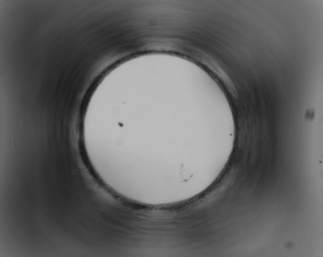 X0000103900984200809191051