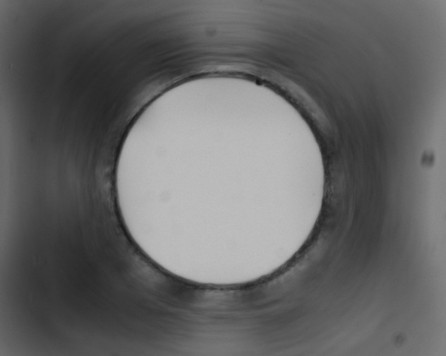 X0000103900985200809191051