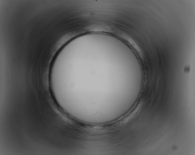 X0000103900986200809191051