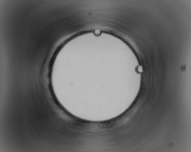 X0000103900987200809191051