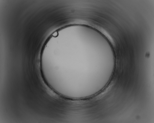 X0000103900988200809191051