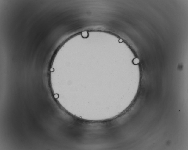 X0000103900989200809191051
