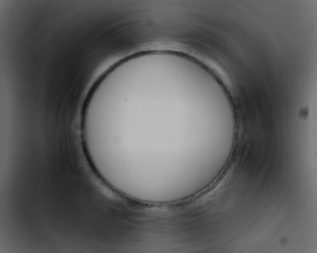 X0000103900990200809191051