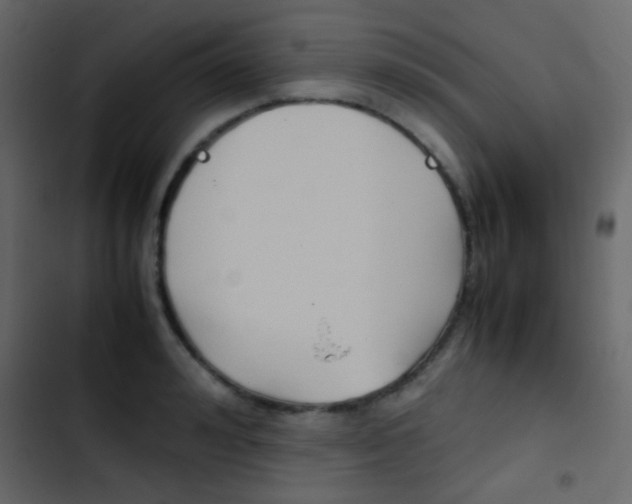 X0000103900992200809191051