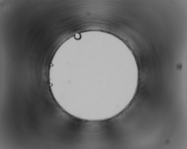 X0000103900993200809191051