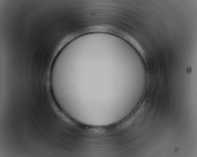 X0000103900994200809191051