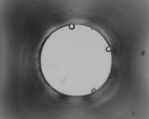 X0000103900997200809191051