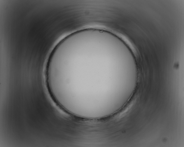 X0000103900999200809191051