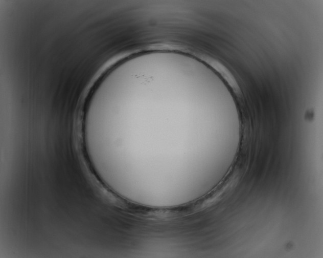 X0000103901000200809191051