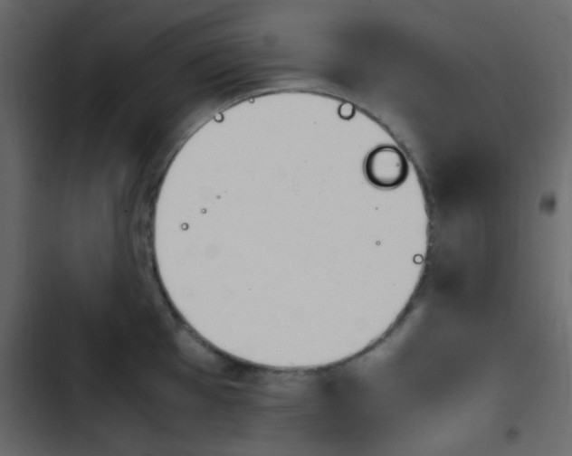 X0000103901001200809191051