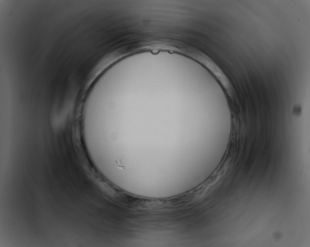 X0000103901002200809191051