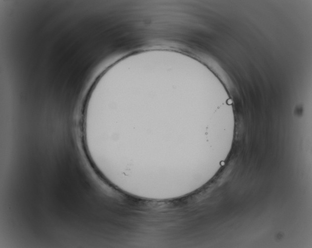 X0000103901003200809191051