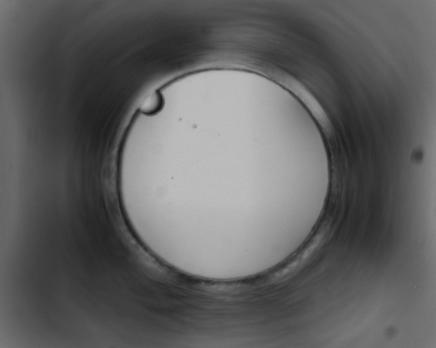 X0000103901004200809191051