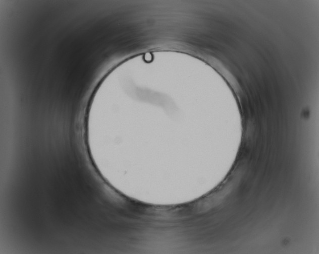 X0000103901005200809191051
