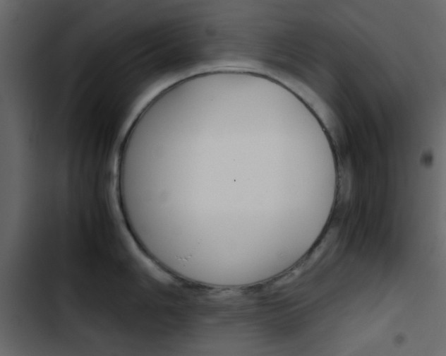 X0000103901006200809191051