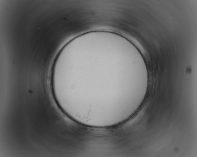 X0000103901007200809191051