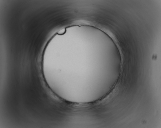X0000103901008200809191051