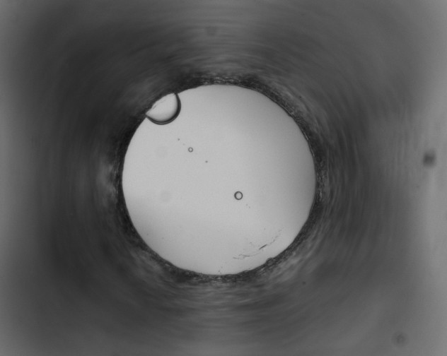 X0000103901010200809191050