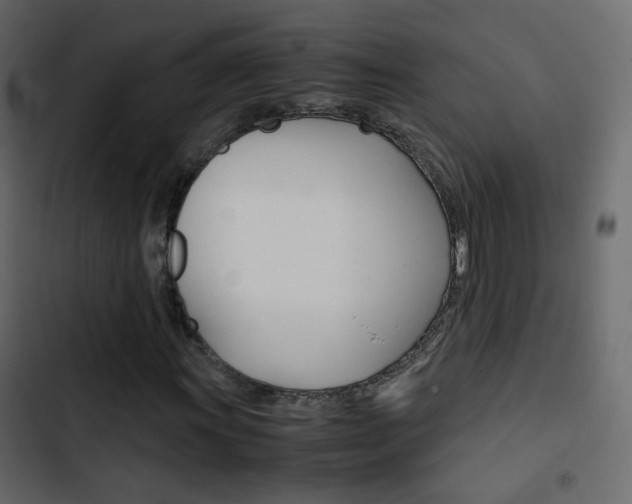 X0000103901011200809191050