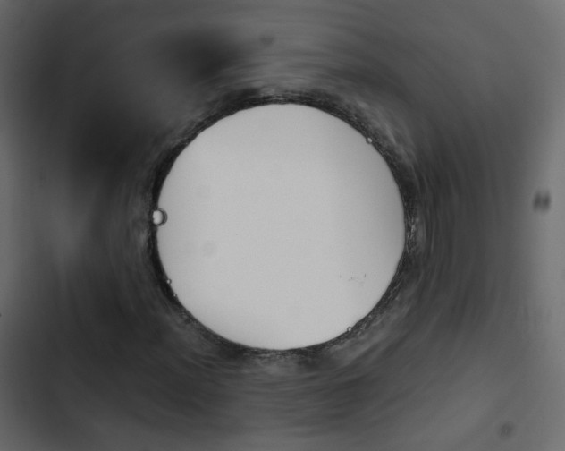 X0000103901012200809191050
